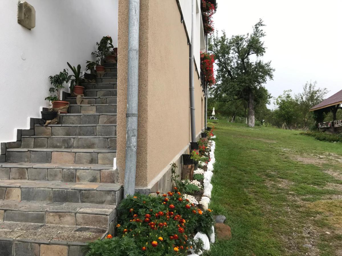 Casa Relax Hotel Văleni Buitenkant foto